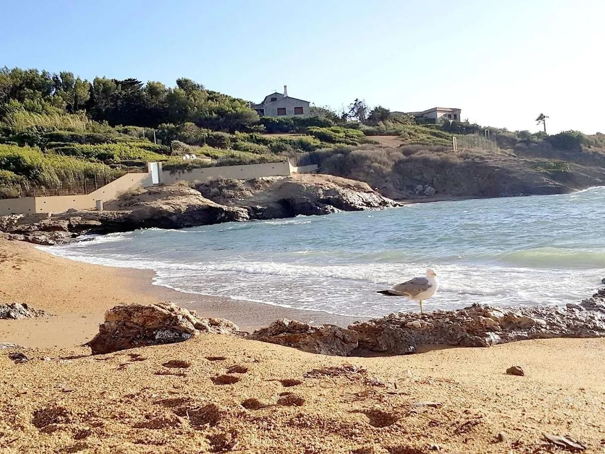 T2 Climatise Avec Jardin, Wi-Fi Et Parking Securise A 100 M Des Plages - Fr-1-316-301 Six-Fours-les-Plages