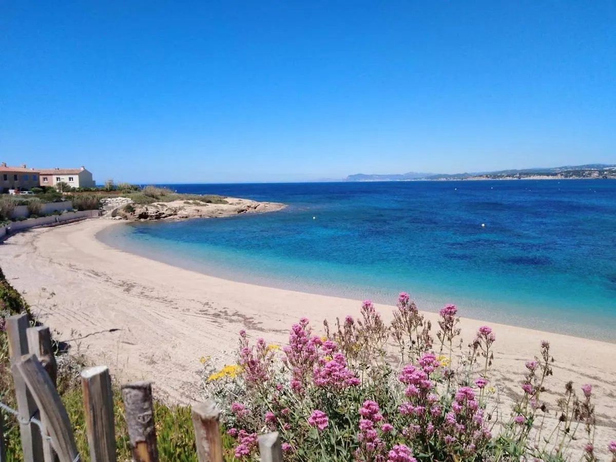 Appartamento T2 Climatise Avec Jardin, Wi-Fi Et Parking Securise A 100 M Des Plages - Fr-1-316-301 Six-Fours-les-Plages